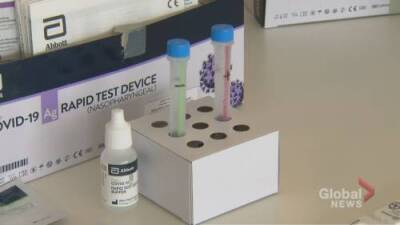 Matthew Bingley - Should rapid COVID tests be free in Ontario? - globalnews.ca - county Ontario