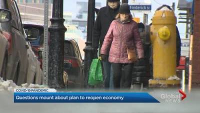 Coronavirus: Questions mount over plan to reopen Ontario economy - globalnews.ca