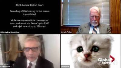 Texas judge issues Zoom warning after lawyer struggles with cat filter - globalnews.ca - state Texas