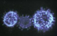 New COVID variant with 5 mutations identified in California - cidrap.umn.edu - New York - Usa - Los Angeles - state California - county Los Angeles