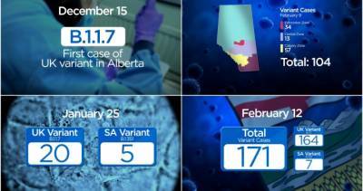 Christmas Eve - Alberta Coronavirus - The big picture: a timeline of increasing COVID-19 variants in Alberta - globalnews.ca