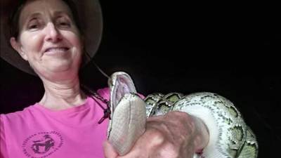 Former real estate agent now hunts pythons in the Florida Everglades - clickorlando.com - state Florida - county Miami - Burma
