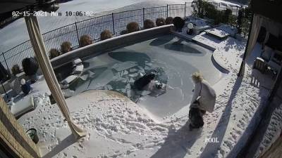 Winter weather warning for pet owners: Man plunges into frozen pool to rescue dog who fell through ice - fox29.com - state Texas