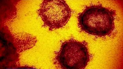 Florida reports first case of P.1 virus variant first detected in Brazil - clickorlando.com - state Florida - state Minnesota - state Maryland - Brazil - state Oklahoma