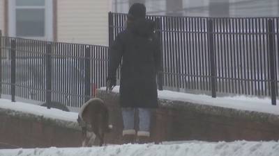 Blanketed by sleet and snow, normally busy West Chester is quieted by winter weather - fox29.com - state Pennsylvania - county Chester - city West Chester, state Pennsylvania