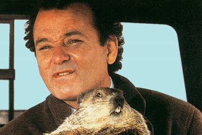 Bill Murray - ‘Every day is Groundhog Day’ now thanks to COVID-19, Twitter laments - nypost.com - county Day