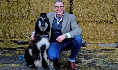 Celebrity dog trainer Graeme Hall urges Britons not to give up on their pandemic pooches - express.co.uk