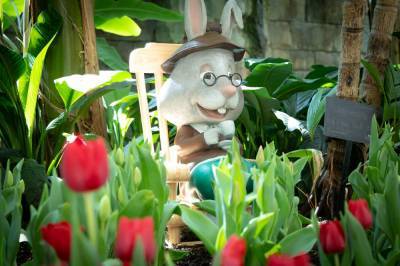 Hop into spring with these events at Gaylord Palms Resort - clickorlando.com - city Orlando