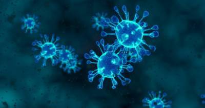 Manitoba reports 1 coronavirus death, 45 new cases - globalnews.ca - Canada - region Health - county Prairie
