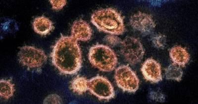 Manitoba health officials report 1 coronavirus-related death, 70 new cases - globalnews.ca - Canada - region Health - county Prairie