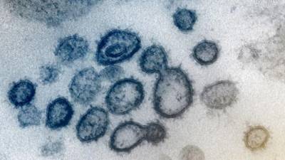 Study: Infectious coronavirus particles can survive on clothing for up to 3 days - fox29.com