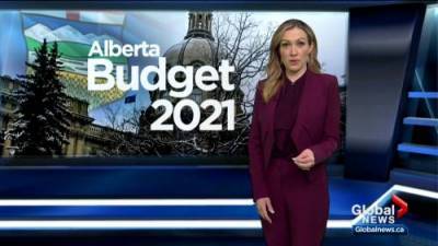 Dallas Flexhaug - Alberta Budget 2021: Answering your questions surrounding the provincial budget - globalnews.ca