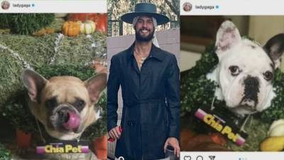 Ryan Fischer - Lady Gaga to injured dog walker: 'You're forever a hero' - fox29.com - France - Los Angeles - city Los Angeles