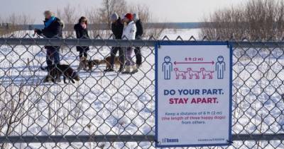 Coronavirus: Latest developments in the Greater Toronto Area on Feb. 28 - globalnews.ca - Canada - county York