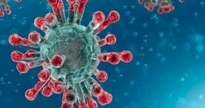NHS Grampian introduces 'additional safety measures' in bid to control Scots cases of Brazil coronavirus variant - dailyrecord.co.uk - Scotland - Brazil