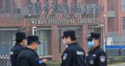 Peter Daszak - WHO team in Wuhan does not rule out coronavirus could have escaped from laboratory - mirror.co.uk - China - city Wuhan - Britain