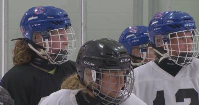 Alberta Health - What Lethbridge Minor Hockey is saying after Hockey Alberta’s end-of-play announcement - globalnews.ca
