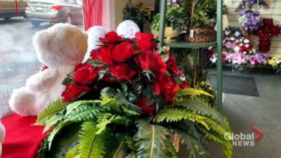 Maritime florists prepare for Valentine’s sales bloom with wilted supply - globalnews.ca