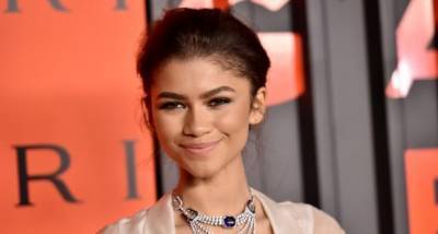 Zendaya thanks Malcolm & Marie crew for filming the movie amidst pandemic; Says ‘We made this as a family’ - pinkvilla.com