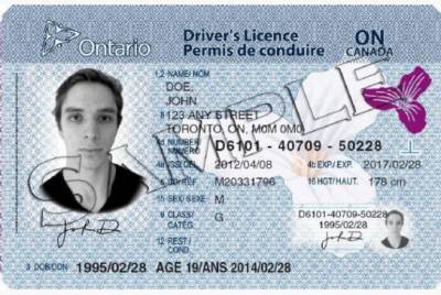 Vehicle sticker or driver’s licence expired in 2020? Both still legal in Ontario for now - globalnews.ca - county Ontario