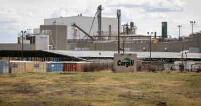 Alberta Health - Tom Macmillan - High River Cargill meat plant under second COVID-19 outbreak - globalnews.ca