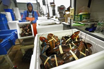 Lobster biz braces for Chinese New Year impacted by pandemic - clickorlando.com - China - state Maine - city Portland, state Maine