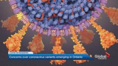 Christine Elliott - COVID-19 variant cases spark call for ‘vigilance’ from Ontario’s health Minister - globalnews.ca - city Ontario