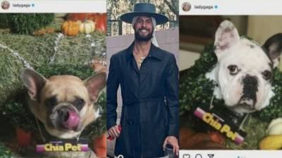 Ryan Fischer - Lady Gaga's dog walker Ryan Fischer speaks out for first time since shooting - fox29.com - Los Angeles - city Hollywood