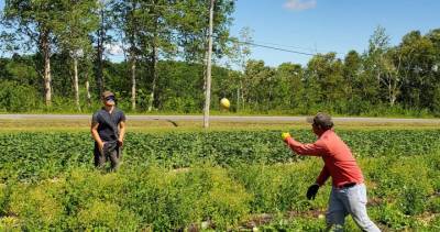 New Brunswick - Bruce Macfarlane - New Brunswick farmers call for change to temporary foreign worker quarantine rules - globalnews.ca - Canada