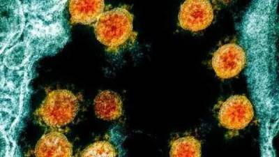 SARS-CoV-2 virus circulated undetected for 2 months before first cases in China - livemint.com - China - India
