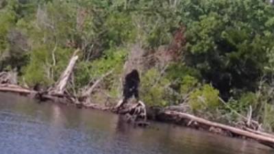 $2 million bounty placed on Bigfoot in Oklahoma town: Must be captured alive and unharmed - fox29.com - state Oklahoma - city Oklahoma City