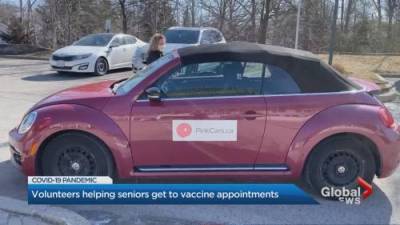 Pink Cars helping seniors in York Region get to COVID vaccine appointments - globalnews.ca - county York