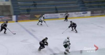 Remaining 2020-21 season for Saskatchewan Junior Hockey League shelved - globalnews.ca