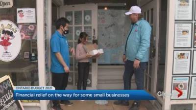 Kamil Karamali - Ontario budget provides support for small businesses, but some excluded - globalnews.ca