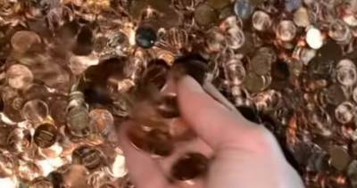 Man gets final pay in oil-covered pennies after quitting ‘toxic’ job - globalnews.ca
