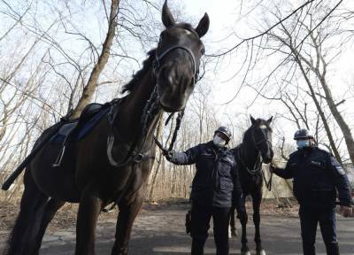 Poland plans pensions for dogs, horses in state employment - clickorlando.com - Poland - city Warsaw