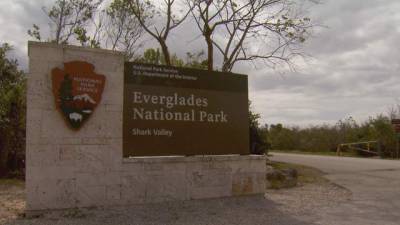 Man fires gun at Everglades park rangers; later arrested - clickorlando.com - state Florida - county Park