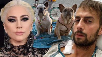 Lady Gaga - Ryan Fischer - Lady Gaga's Dog Walker Says His Lung Collapsed Several Times Following Shooting, Gives Health Update - etonline.com