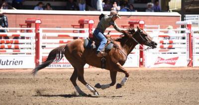 Should Alberta make rodeo the province’s official sport? - globalnews.ca - Usa - Canada - state Arizona - state Texas - city Fort Worth