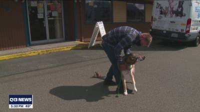 Portland man reunited with dog that was adopted out while he was in Auburn hospital - fox29.com - county Valley - city Portland