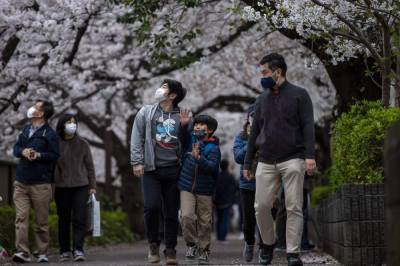 Japan's famous cherry blossoms see early bloom amid warming - clickorlando.com - Japan - city Tokyo