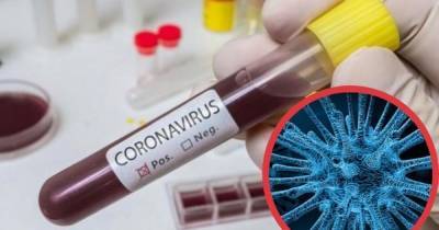 Coronavirus Update: Public Health Scotland infection rate figure for every council area - dailyrecord.co.uk - Scotland