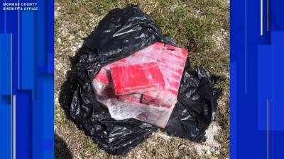 $1.5 million worth of cocaine found by snorkeler in the Florida Keys - clickorlando.com - state Florida - county Monroe