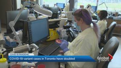 Erica Vella - Coronavirus variants of concern continue to spread in Toronto, Peel as regions head into grey lockdown level - globalnews.ca