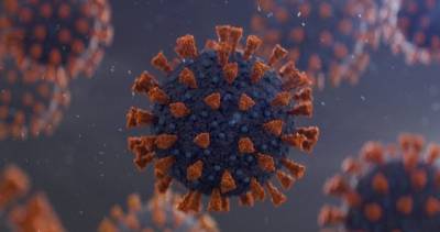 Woman in her 20s dies, 71 new coronavirus cases in Manitoba Saturday - globalnews.ca - city Santé