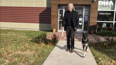 Biden’s dogs returned to Delaware home after ‘aggressive behavior’ - clickorlando.com - Germany - state Delaware