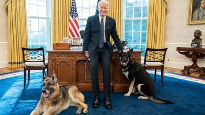 Joe Biden - Jill Biden - Michael Larosa - President Biden's dog Major gets professional training following biting incidents - fox29.com - Germany - Washington - city Washington