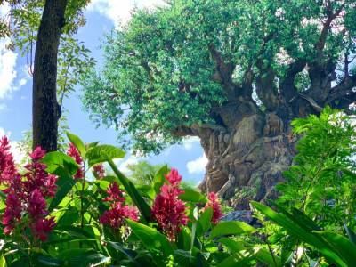 Here’s how Disney is celebrating Earth Month at Disney’s Animal Kingdom - clickorlando.com