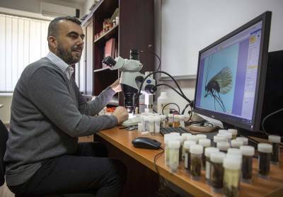 Kosovar biologist calls newly found insect after coronavirus - clickorlando.com - Kosovo - city Pristina