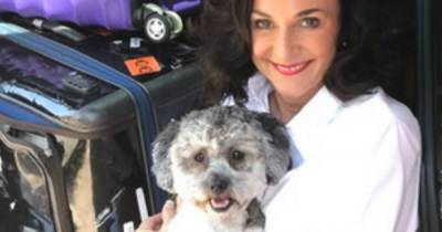 Shirley Ballas - Strictly's Shirley Ballas says dog helped her cope with Covid and father's death - dailystar.co.uk